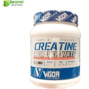 تصویر پودر ال گلوتامين ویگور 250 گرمي Vigor Lglutamine powder 250 grams