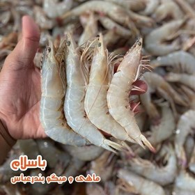 تصویر میگو دریایی سایز بزرگ ( 31 -40 ) تازه و صید روز بندرعباس (1کیلوگرم) 