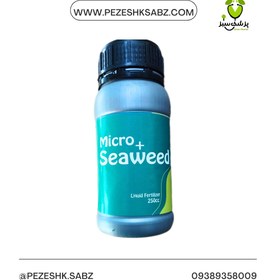 تصویر جلبک دریایی - 0.5کیلویی Seaweed