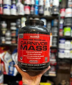 تصویر مس گینر کارنیور ماسل مدز 