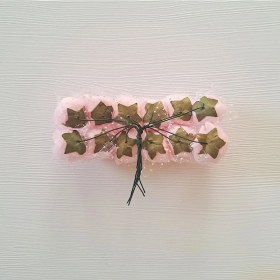 تصویر گل فومی 