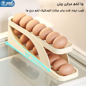 تصویر جا تخم مرغی ریلی مرغانه 