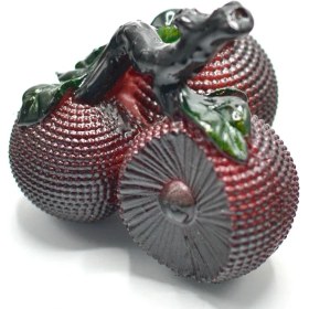 تصویر پت گیلاس حرارتی کد TCCS3 