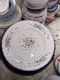 تصویر پلو خوری ویکتوریا دونه ای 