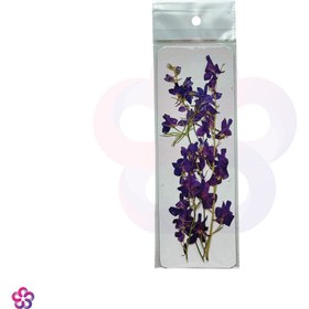 تصویر گل خشک لاله چوپان 