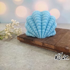 تصویر قالب صدف 