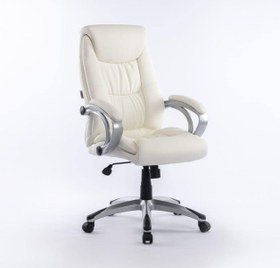 تصویر Danube Home Trenvi Swivel High Back Office Chair Ergonomic Gaming Chair I Modern Home Computer Chair I 360? Swivel Pu Leather Office Chair I Executive Chair L 74.5 X W 64.5 X H 109 Cm (White) - ارسال 15 الی 20 روز کاری 