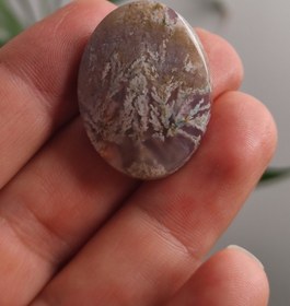 تصویر نگین عقیق شجر بهاری 