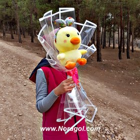 تصویر دسته گل اردک پاپیونی 