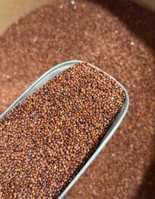 تصویر کینوا قرمز دانه