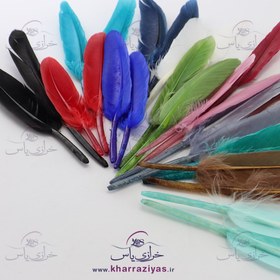 تصویر پر دریم کچر طبیعی عددی لیمویی 