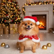 تصویر کلاه کریسمسی سگ و گربه 