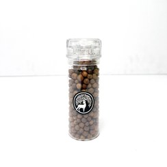 تصویر فلفل آل اسپایس(فلفل بهار) 