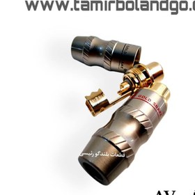 تصویر مادگى AV Gold snake (جفت) 