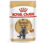 تصویر پوچ گربه بریتیش رویال کنین 85 گرم ا Royal Canin British Shorthair 85g Royal Canin British Shorthair 85g