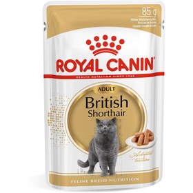 تصویر پوچ گربه بریتیش رویال کنین 85 گرم Royal Canin British Shorthair 85g