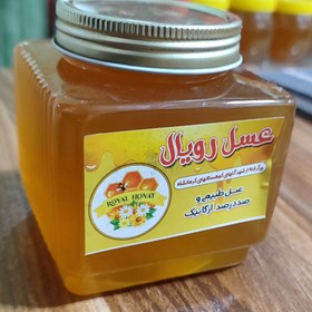 تصویر عسل درجه یک گشنیز 1کیلویی 