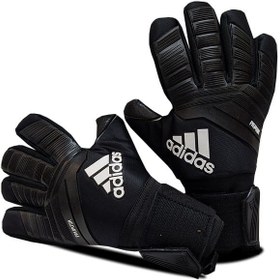 Predator hot sale 2020 gloves