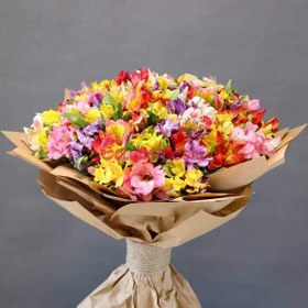 تصویر دسته گل آلسترومریا رنگی 