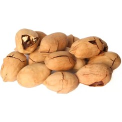 تصویر گردو پکان با پوست ۲۵۰ گرم 