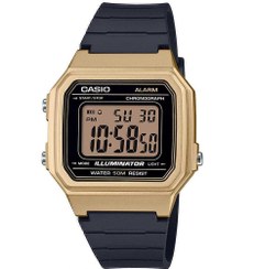 تصویر ساعت دیجیتال مردانه کاسیو مدل CASIO-W-217HM-9A 