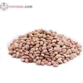 تصویر لوبیا چیتی ۲۰۰ گرم 