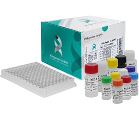 تصویر کیت الایزا پیشگامان 96 تستی - hCG.Rapid hCG.Rapid 96 Tests - Pishgaman Sanjesh