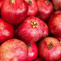 تصویر انار قصرشیرین 