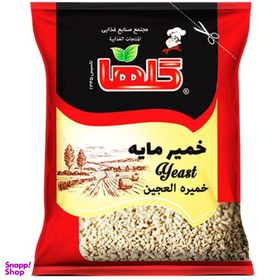 تصویر خمیر مایه گلها وزن 50 گرم 