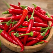 تصویر بذر فلفل تند چیلی 50 و 100 عددی