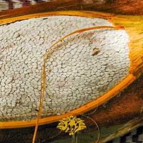 تصویر گرده نخل بسته 100 گرمی 