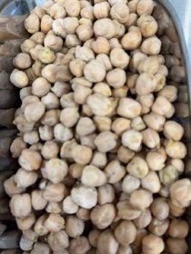 تصویر نخود کرمانشاه 