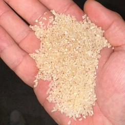 تصویر برنج نیم دانه طارم فجر عطر طعمی فوقولعاده 