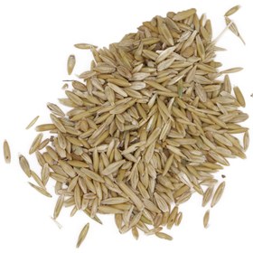 تصویر جو دوسر 