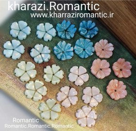 تصویر صدف گل رنگی 