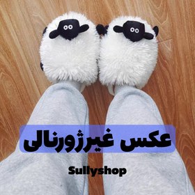 تصویر پاپوش ببعی 