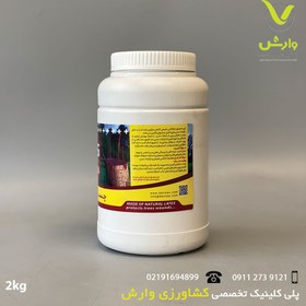 تصویر چسب باغبانی داتیس 2 کیلویی 