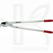 تصویر قیچی شاخه زن آلمانی برگر 4255 BERGER Long Handle Pruning Shear