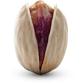 تصویر پسته فندقی شور 