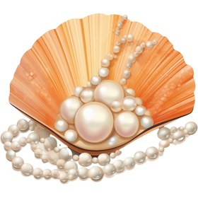 تصویر عکس PNG مروارید درون صدف – PNG Pearl in the Shell 