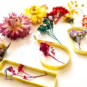 تصویر گل خشک مخلوط 