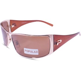 تصویر عینک یونیسکس مدل BAS POLAR P6270 