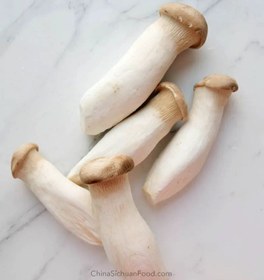 تصویر قارچ شاه صدف تازه 1 کیلوگرم fresh king oyster mushroom