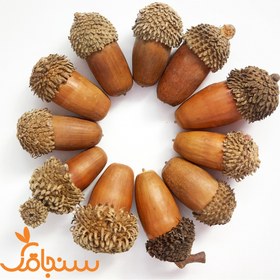 تصویر بلوط(بسته‌ی ۵تایی) 