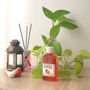 تصویر شارژ خوشبو کننده هوا ایفل (Eyfel) مدل Peach هلو حجم 120 میلی لیتر RECHARGE EYFEL PEACH REED DIFFUSER (120ml)