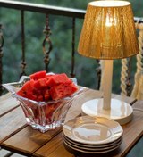 تصویر آبا ژور رافیا - طوسی 