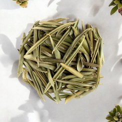 تصویر برگ زیتون خشک 