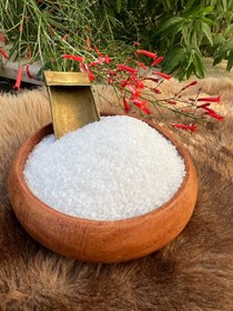 تصویر نمک نصرت صدفی 