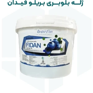 تصویر فروشگاه تجهیزات برفین