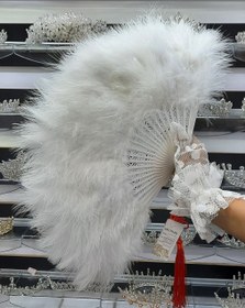 تصویر بادبزن پر 